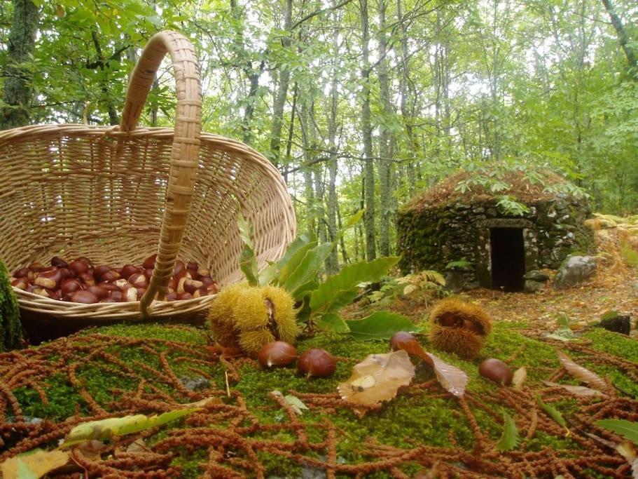Casa Rural Margarita II Montánchez Zewnętrze zdjęcie